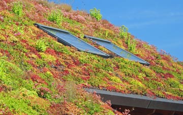 Canford Cliffs living roof systems