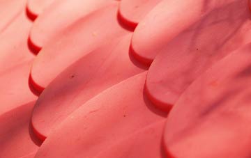 Canford Cliffs plastic roof costs