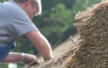 professional Canford Cliffs thatchers