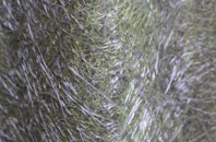 Canford Cliffs fibreglass roof work